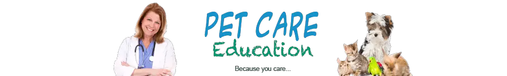 PET CARE EDUCATION